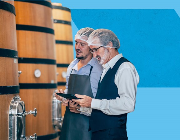 TeamSystem Wine