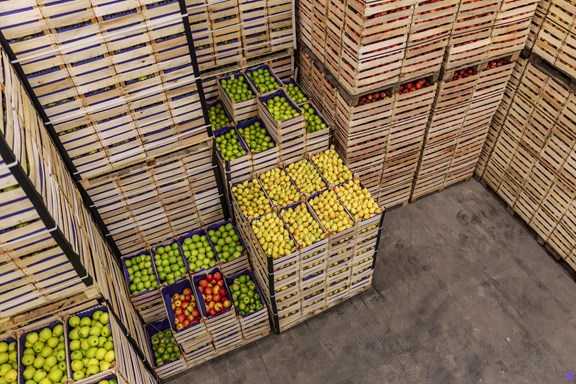 Ortofrutta